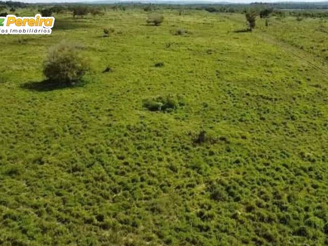 #3050 - Fazenda para Venda em Breu Branco - PA - 2