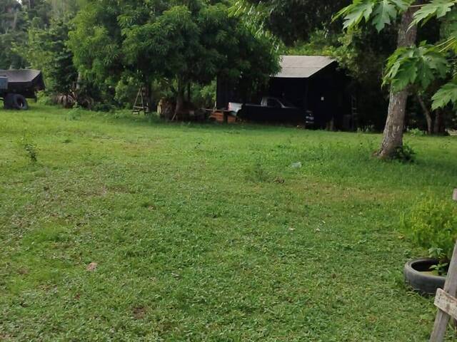 #3051 - Fazenda para Venda em Tailândia - PA - 2