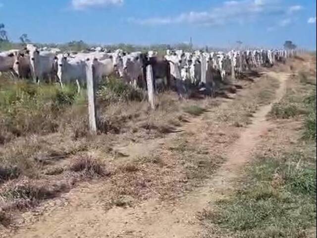#3052 - Fazenda para Venda em Jacundá - PA - 1