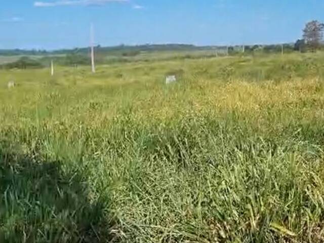 #3052 - Fazenda para Venda em Jacundá - PA - 2