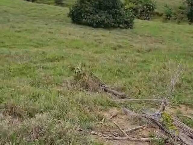 Fazenda para Venda em Jacundá - 5