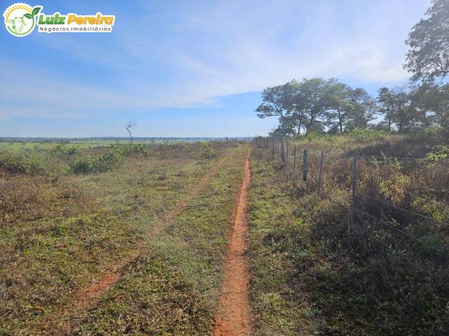 Fazenda para Venda em Paranaíba - 5