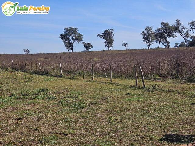 #3054 - Fazenda para Venda em Paranaíba - MS - 3