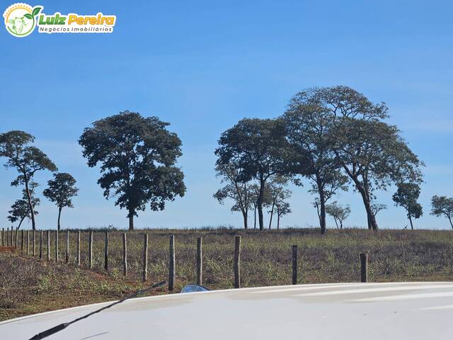 #3054 - Fazenda para Venda em Paranaíba - MS - 1
