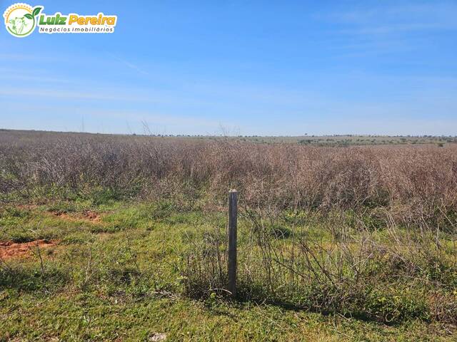 #3054 - Fazenda para Venda em Paranaíba - MS - 2