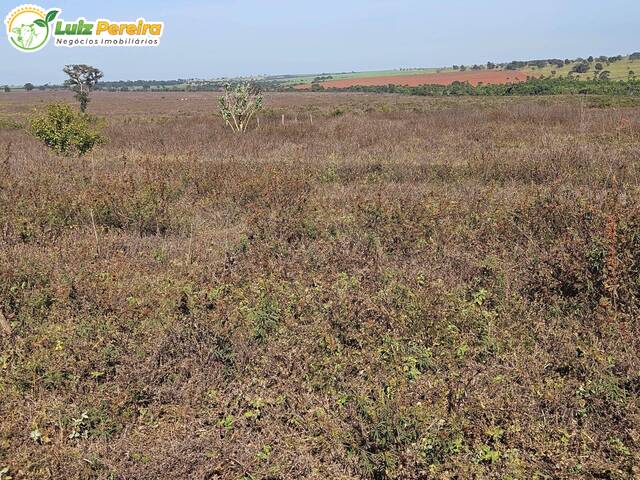 Fazenda para Venda em Paranaíba - 4