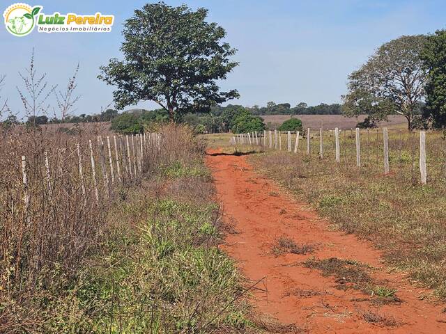 Chácara para Venda em Paranaíba - 4