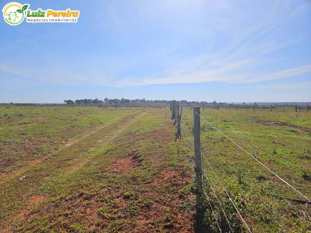 #3056 - Fazenda para Venda em Paranaíba - MS - 2