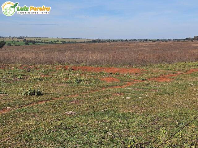 #3056 - Fazenda para Venda em Paranaíba - MS - 3