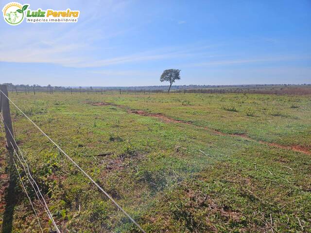 Fazenda para Venda em Paranaíba - 4