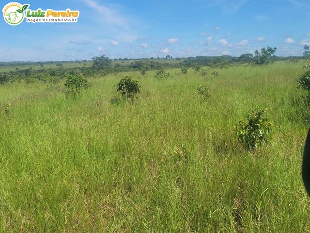 Fazenda para Venda em Aparecida do Taboado - 4