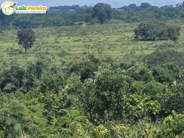 #3057 - Fazenda para Venda em Aparecida do Taboado - MS - 1
