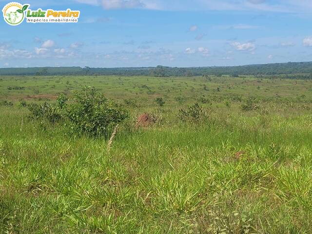 #3057 - Fazenda para Venda em Aparecida do Taboado - MS - 3