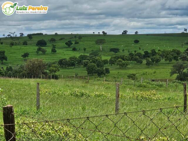 #3058 - Fazenda para Venda em Paranaíba - MS - 2