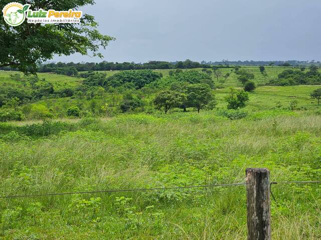 #3058 - Fazenda para Venda em Paranaíba - MS - 3
