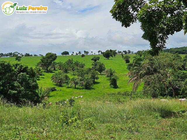 Fazenda para Venda em Paranaíba - 5