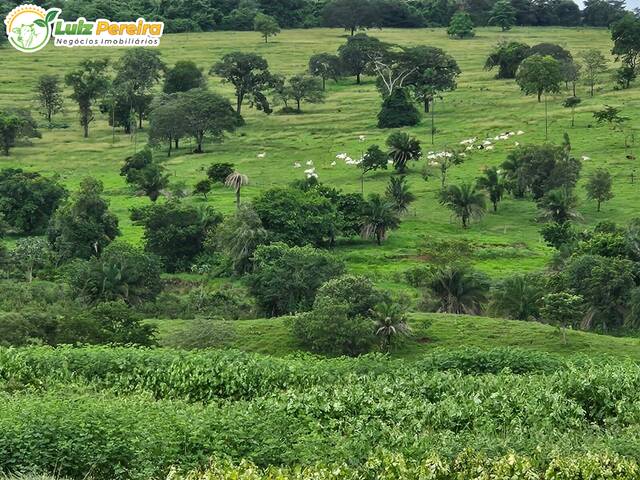 #3058 - Fazenda para Venda em Paranaíba - MS - 1