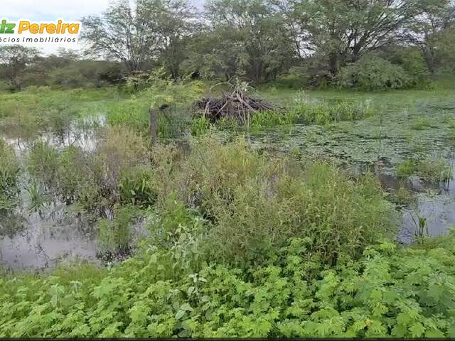 #3060 - Fazenda para Venda em Itaguaçu da Bahia - BA - 2