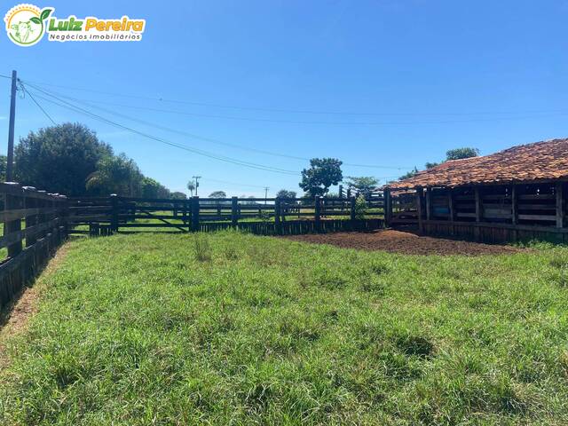 #3061 - Fazenda para Venda em Santo Antônio do Aracanguá - SP - 3