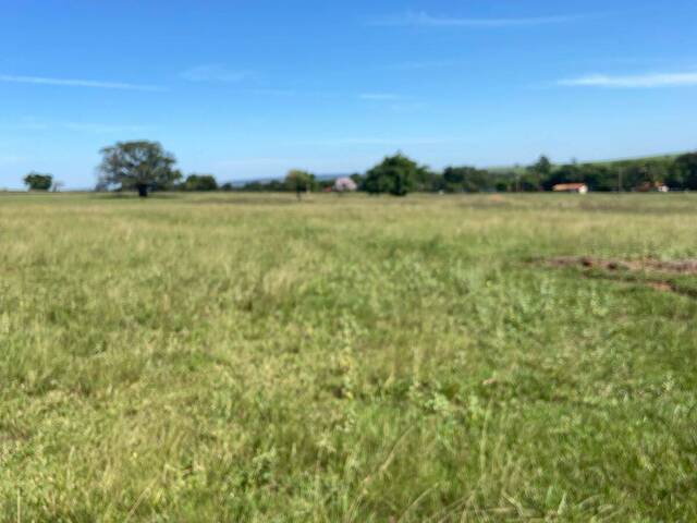 #3061 - Fazenda para Venda em Santo Antônio do Aracanguá - SP - 2