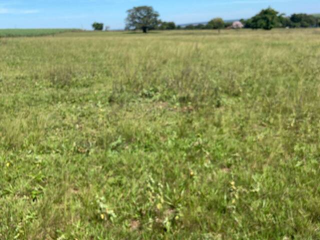 #3061 - Fazenda para Venda em Santo Antônio do Aracanguá - SP - 1