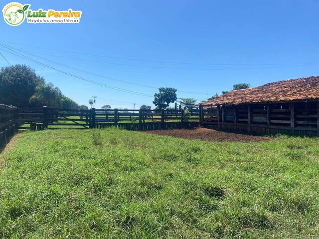 Fazenda para Venda em Santo Antônio do Aracanguá - 5