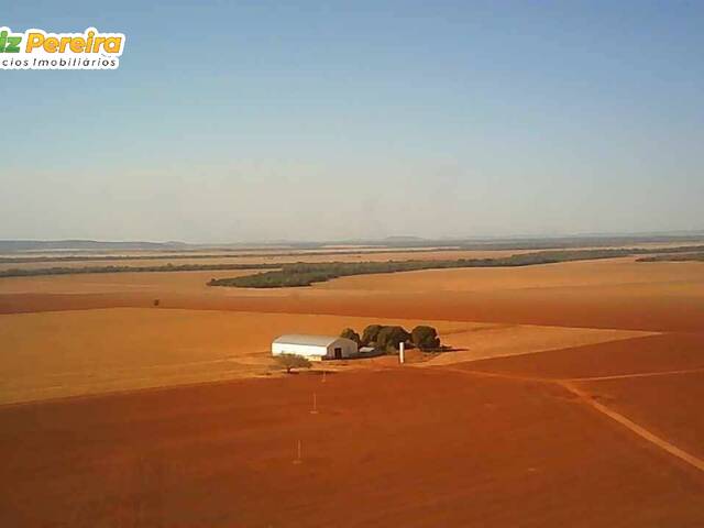 #3062 - Fazenda para Venda em Nova Xavantina - MT - 1