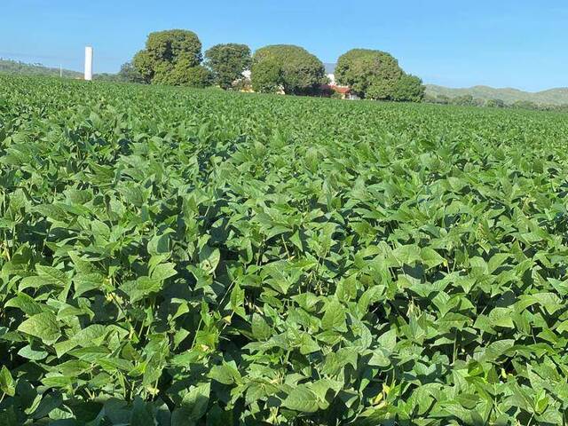 Fazenda para Venda em Nova Xavantina - 5