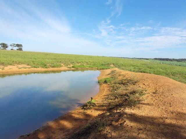 #3063 - Fazenda para Venda em Pedro Gomes - MS