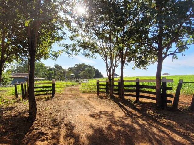 #3063 - Fazenda para Venda em Pedro Gomes - MS - 1