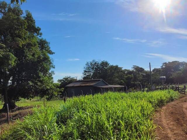 #3063 - Fazenda para Venda em Pedro Gomes - MS - 2