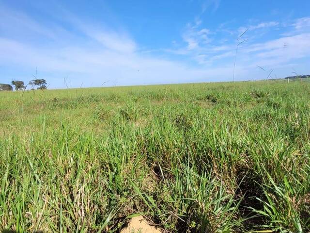 #3063 - Fazenda para Venda em Pedro Gomes - MS - 3