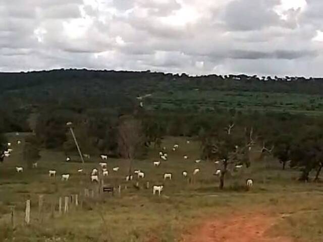 Fazenda para Venda em Alcinópolis - 5