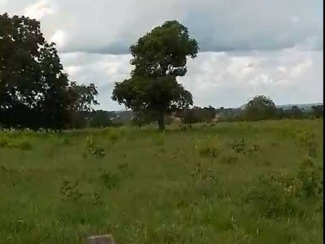 Fazenda para Venda em Alcinópolis - 4