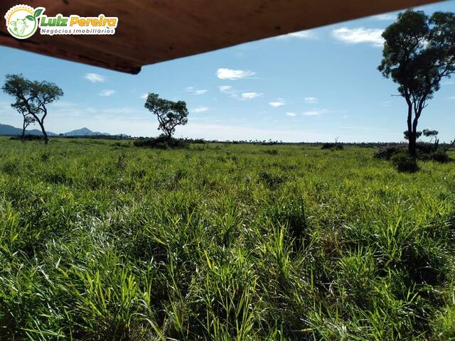 #3065 - Fazenda para Venda em Porto Murtinho - MS - 2