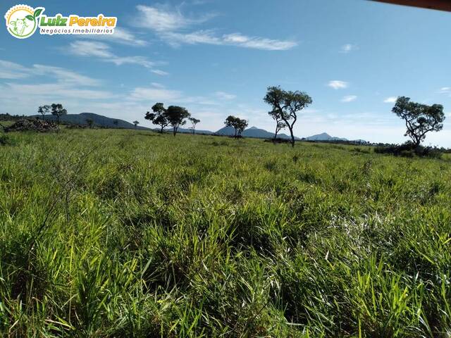 Fazenda para Venda em Porto Murtinho - 4