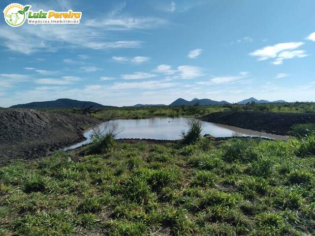 #3065 - Fazenda para Venda em Porto Murtinho - MS - 3