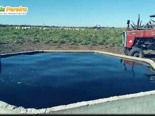 Fazenda para Venda em Porto Murtinho - 5