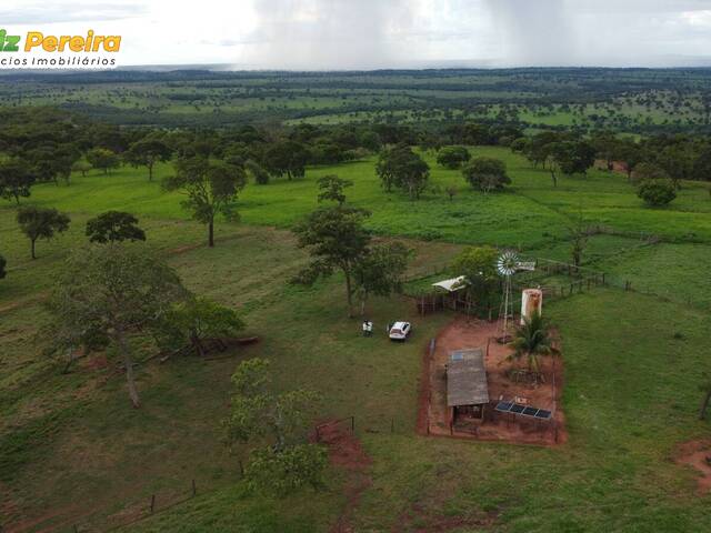 Fazenda para Venda em Campina Verde - 4