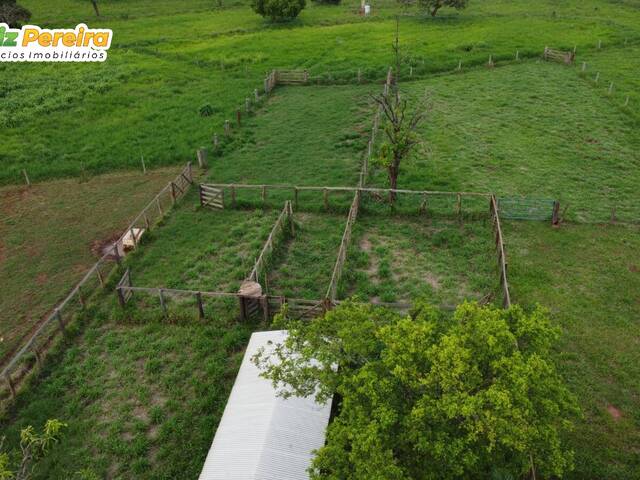Fazenda para Venda em Campina Verde - 5