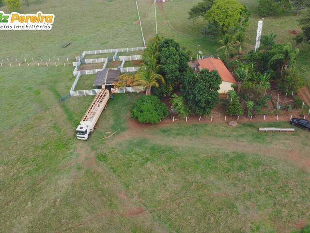 #3066 - Fazenda para Venda em Campina Verde - MG - 2