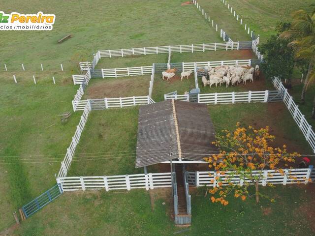 #3066 - Fazenda para Venda em Campina Verde - MG - 1