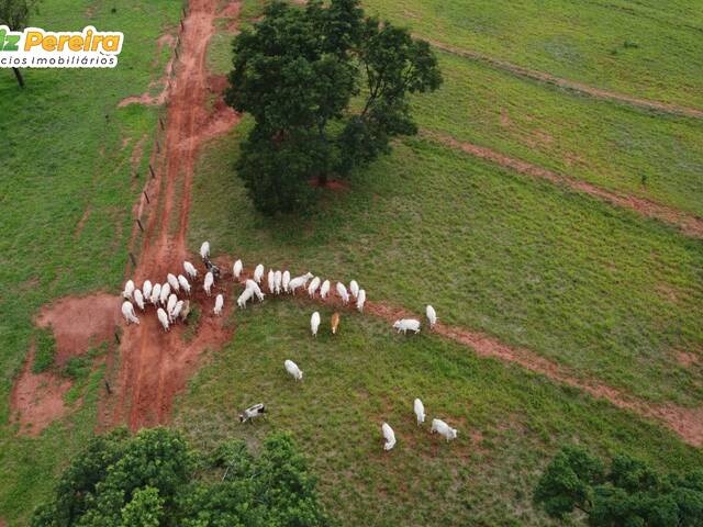 #3066 - Fazenda para Venda em Campina Verde - MG - 3