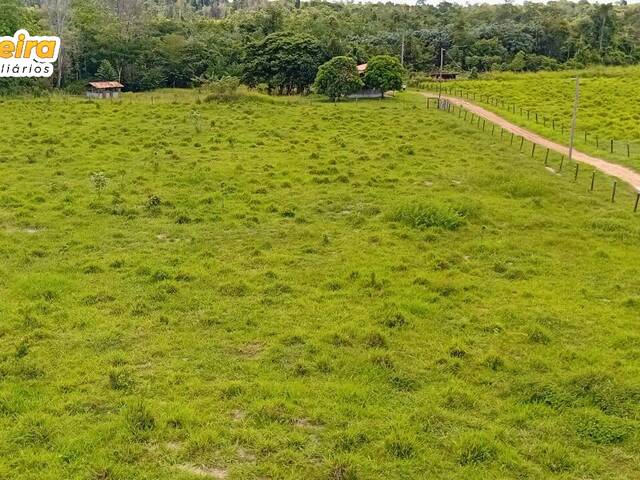Fazenda para Venda em Tailândia - 5