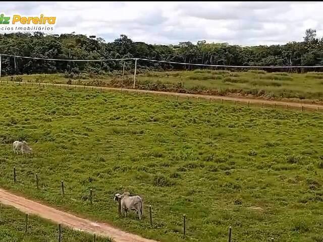 #3067 - Fazenda para Venda em Portel - PA - 1