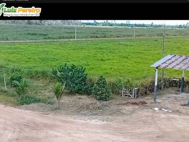 #3067 - Fazenda para Venda em Portel - PA - 3