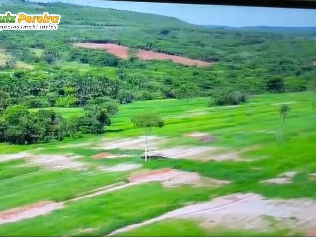 #3068 - Fazenda para Venda em Ituiutaba - MG - 2
