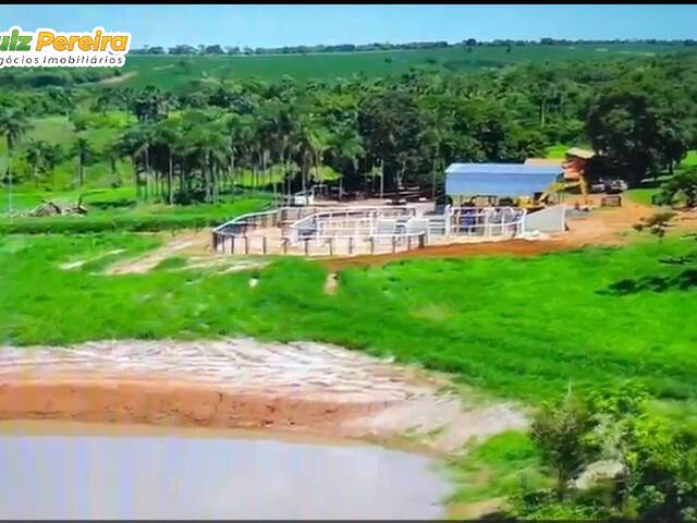 Fazenda para Venda em Ituiutaba - 4