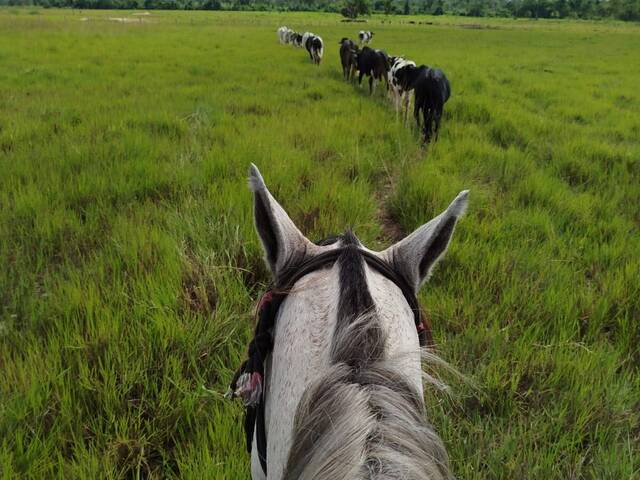 #3069 - Fazenda para Venda em Água Azul do Norte - PA - 1