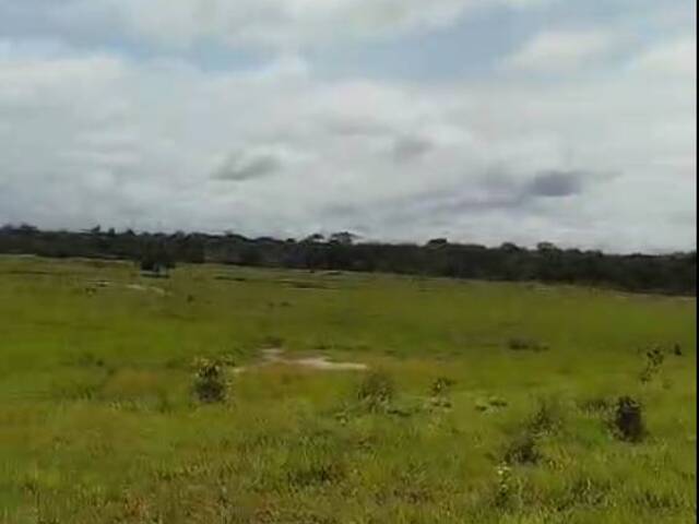 Fazenda para Venda em Água Azul do Norte - 5